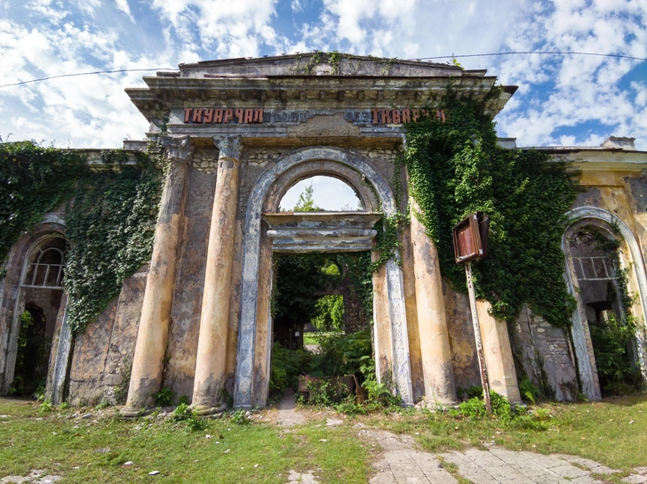Источник: Viacheslav Lopatin/Shutterstock/Fotodom.ru