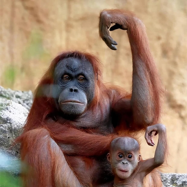 Источник: Соцсети