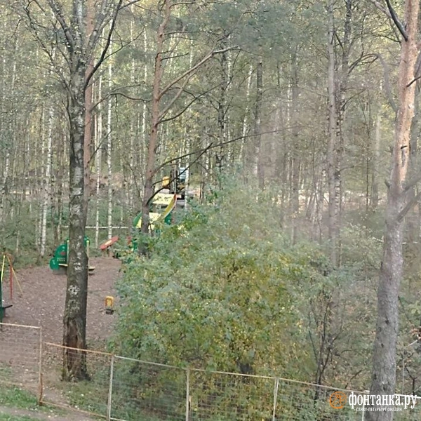 Изотовский сквер | Источник: читательница «Фонтанки» Яна