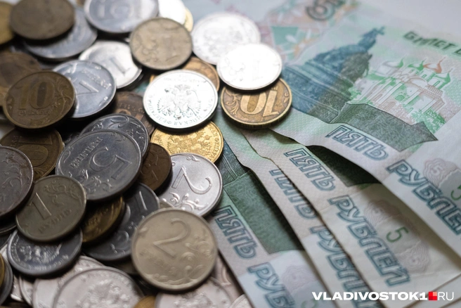 Это предложение вызвало бурную реакцию у россиян | Источник: Елена Буйвол / VLADIVOSTOK1.RU