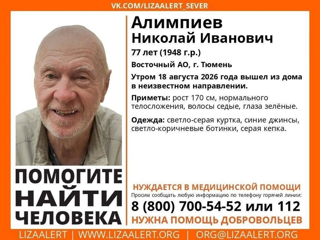 Источник: Поисковый отряд «ЛизаАлерт» Тюменской области