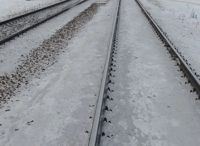 В Подмосковье на железной дороге нашли тела державшихся за руки подростков | ya62.ru