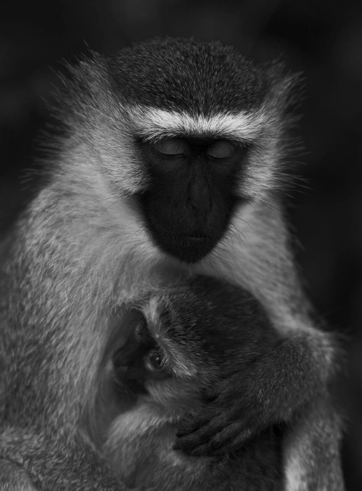 Источник: Fabian Meckl / Fine Art Photography Awards 2026