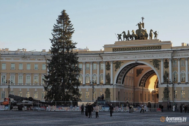 Главную ёлку Петербурга подготовили к преображению. Успейте посмотреть, какая она без игрушек | Источник: Михаил Огнев / FONTANKA.RU