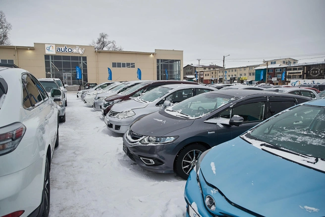 Клиенты «Автосити» объединились, чтобы добиться выплат | Источник: Александр Ощепков / NGS.RU