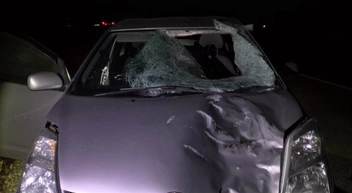 Источник: Госавтоинспекция Забайкалья / Telegram