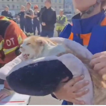 Источник: скриншот видео МЧС Санкт-Петербурга