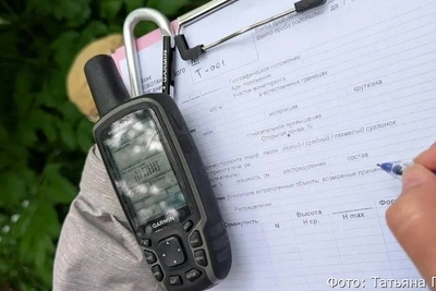 Старт полевого этапа создания карты растительности Камчатки
