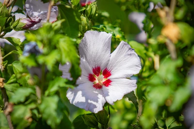 В Ростове благоустроят набережную Дона и площадь у Театра Горького