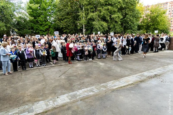 Источник: st.cherinfo.ru