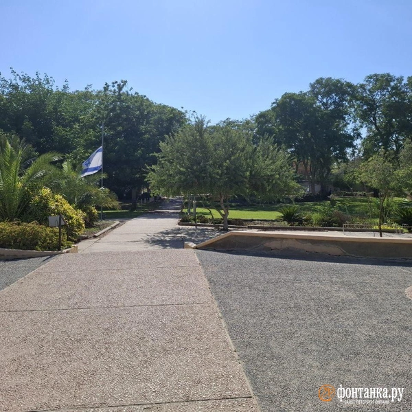 Источник: Ирина Багликова / «Фонтанка.ру»