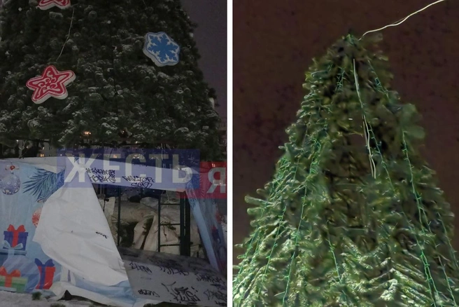 Вандалы устроили охоту на новогодние елки | Источник: Жесть Ярославль / Vk.com, Кузнечихинский дом культуры / Vk.com