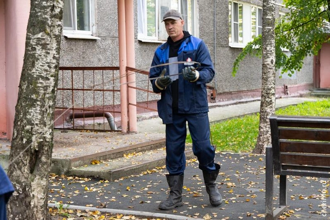 Источник: st.cherinfo.ru