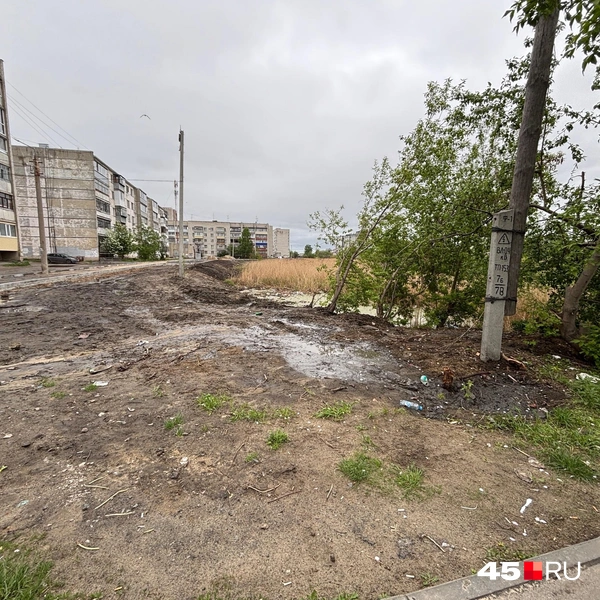 Источник: Кирилл Митин