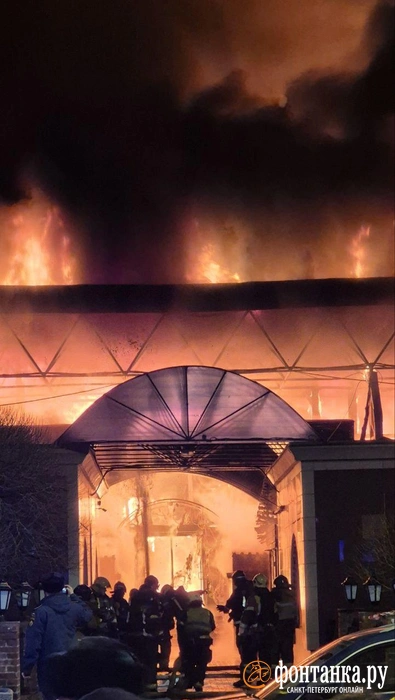 Источник: Читательница «Фонтанки» Eka