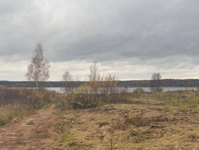 Водоем в Ярославской области вернули в государственную собственность | Источник: По информации прокуратуры