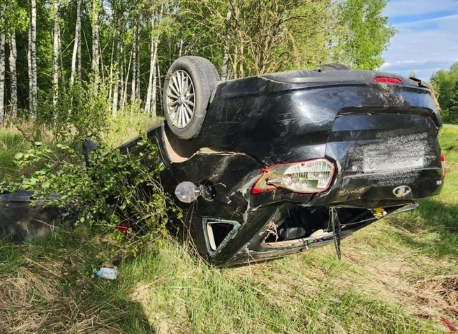 В Спасском районе «Лада Гранта» опрокинулась в кювет | ya62.ru