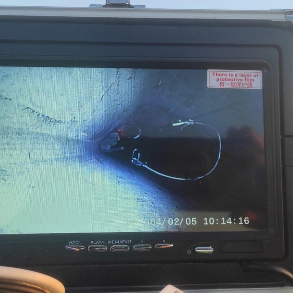 Источник: КОШКИСПАС. Спасение животных