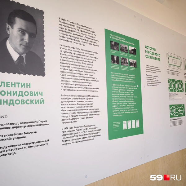 Рассказ о вкладе Миндовского в озеленение Перми | Источник: Анастасия Селиверстова / 59.RU