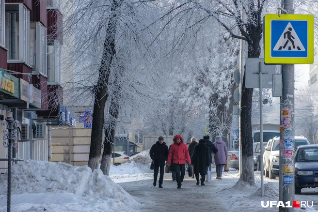 Причем везде, где есть деревья | Источник: Булат Салихов / UFA1.RU