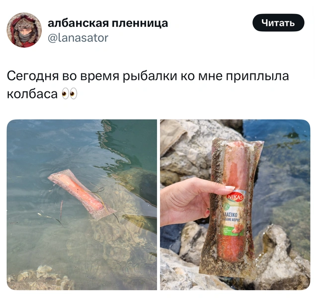 Источник: X (Twitter)