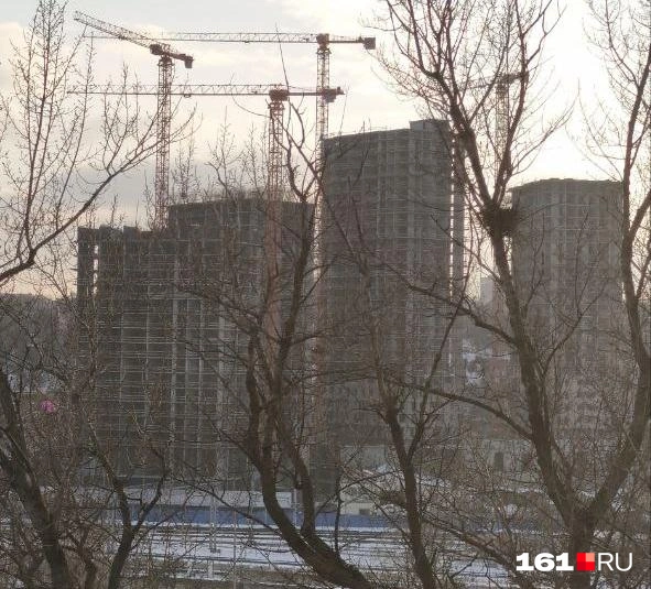 Источник: 161.RU