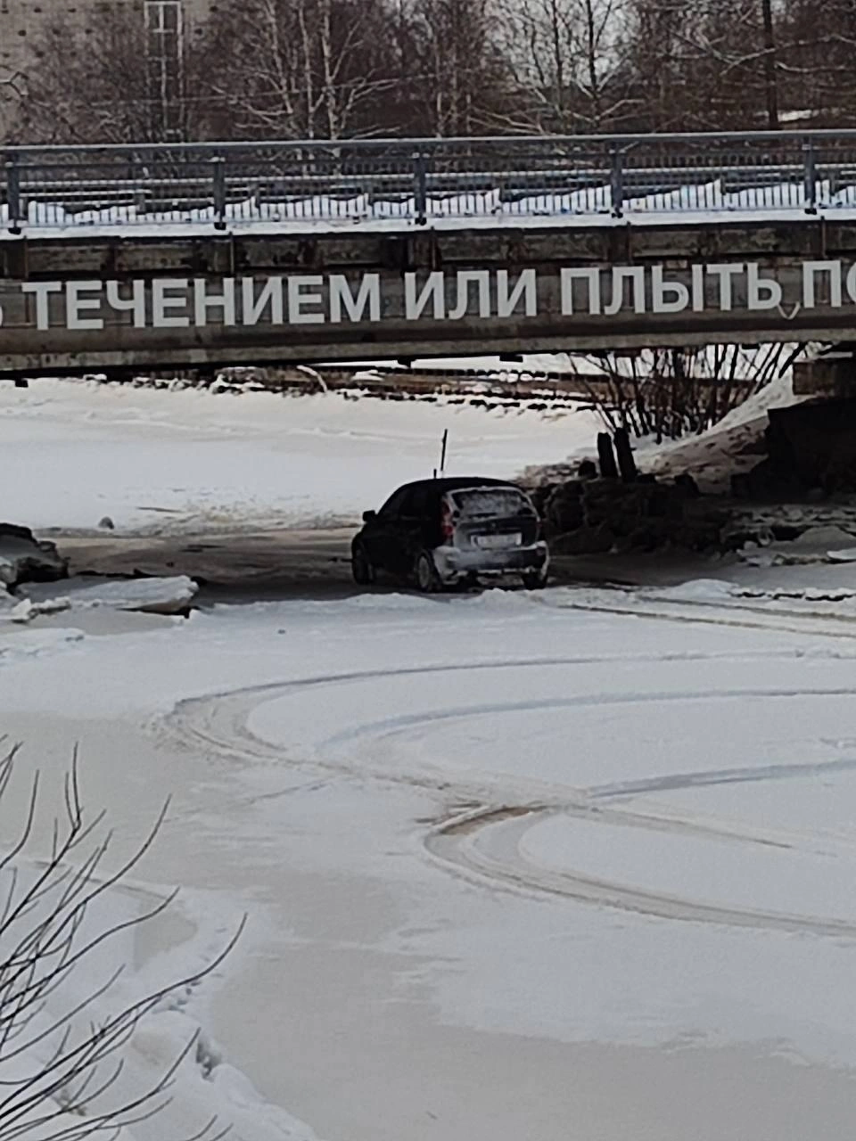 Источник: Жесть Архангельской области / T.me