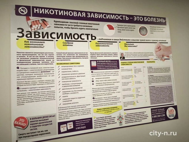Источник: www.city-n.ru