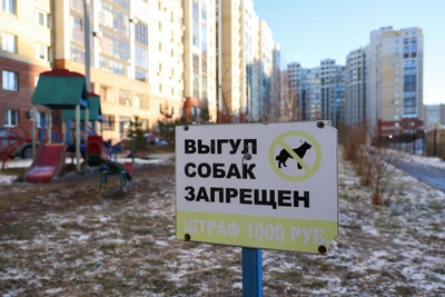 Хозяина собаки будут судить за нападение на ребенка