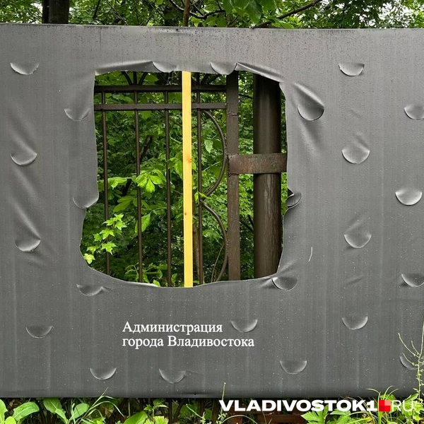 Источник: Елена Буйвол / VLADIVOSTOK1.RU