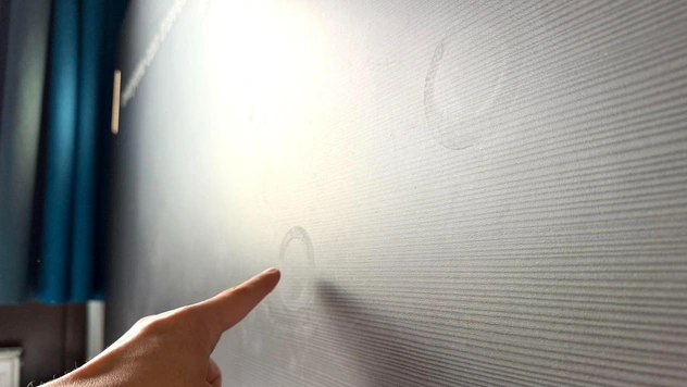 В «Твиттере» (X) очень смешной тред: «От чего эти круги на изголовье кровати в отеле?»