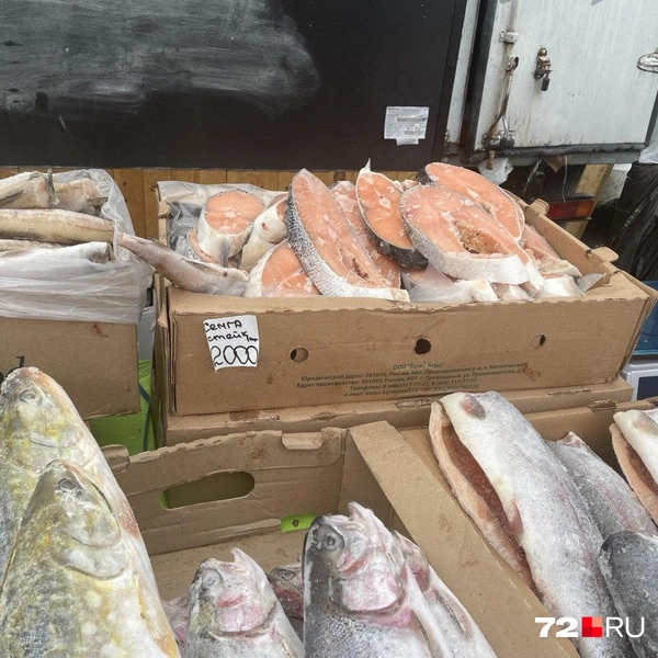 Источник: Радик Енчу / 72.RU