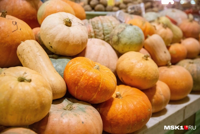 Осень — время тыквы. Множество ее сортов вы найдете в любом супермаркете | Источник: Артем Устюжанин / MSK1.RU