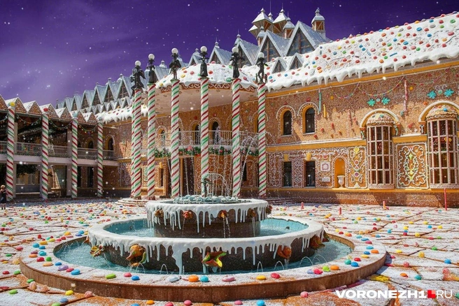 Источник: администрация Воронежа /voronezh-city.ru; Полина Авдошина / Городские медиа