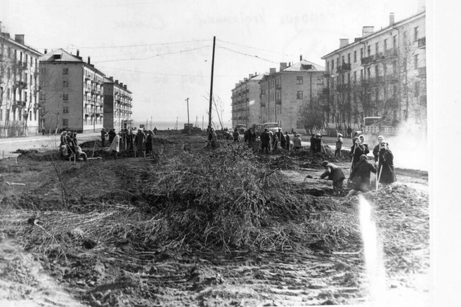 Дорога ведет прямо к парку | Источник: Евгений Мамакин / Pastvu.com