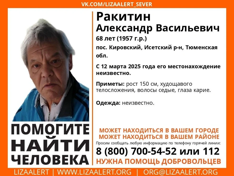 Источник: Поисковый отряд «ЛизаАлерт» Тюменской области / Vk.com