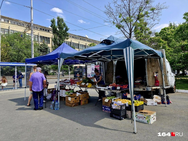 Палатка рядом с автобусной остановкой&nbsp;— очень удобно | Источник: Виктория Федорова / 164.RU