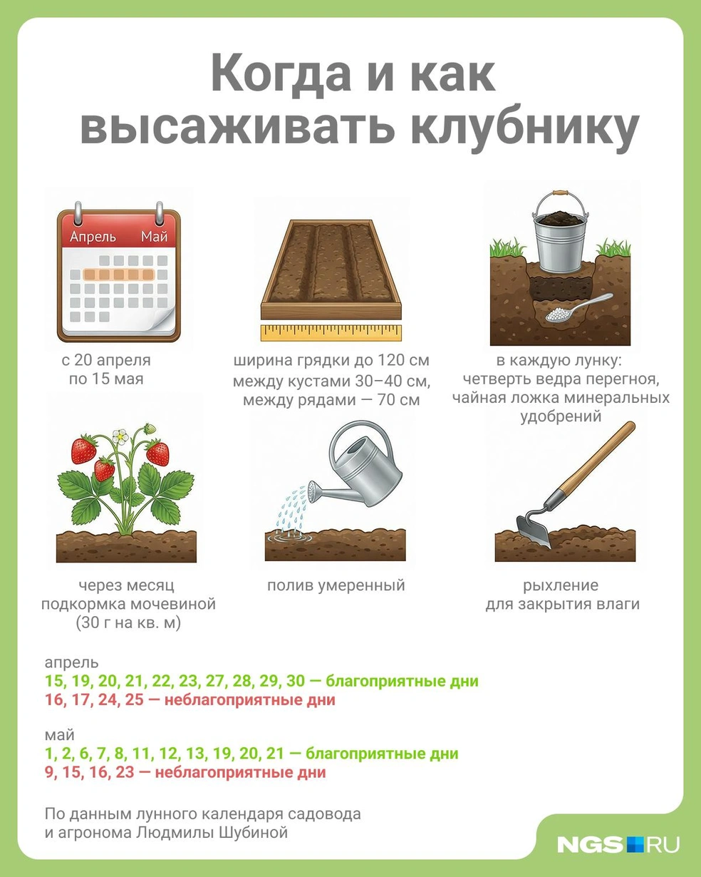 Источник: Юрий Орлов / Городские медиа
