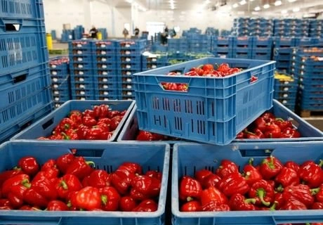 Кабмин предлагает ввести продэмбарго против Турции | ya62.ru