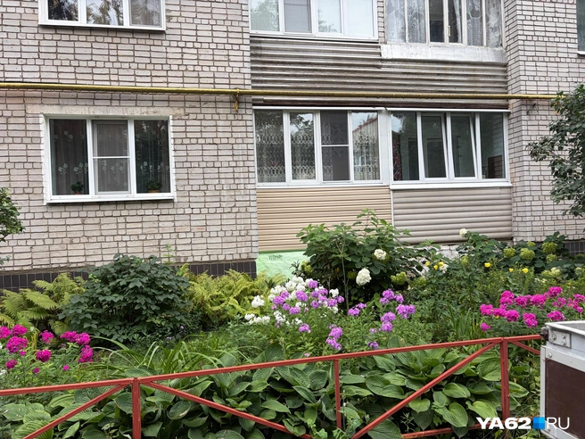 А в этих клумбах под окнами жилого дома оставляли «клады» еще в 90-х | Источник: Дарья Ходосевич / YA62.RU