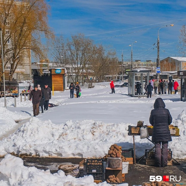 На местном рынке кипит жизнь и продается картошка | Источник: Тимофей Калмаков / 59.RU