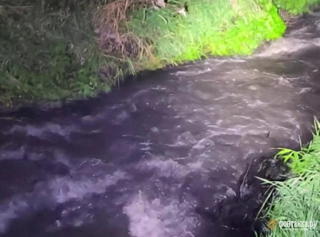 Совпадение? Показываем сброс в Муринский ручей после аварии у «Лесной»  | Источник: Константин Ивачев