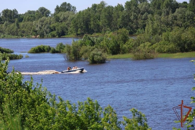 Источник: 43.rosguard.gov.ru