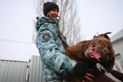 Omsk Police Dogs Train to Find Drugs, Explosives, and Missing People