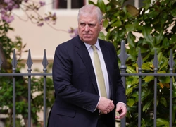 5 главных скандалов принца Эндрю в деле Джеффри Эпштейна