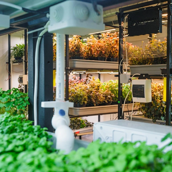 Системы полива и освещения встроены | Источник: Тимофей Калмаков / 59.RU