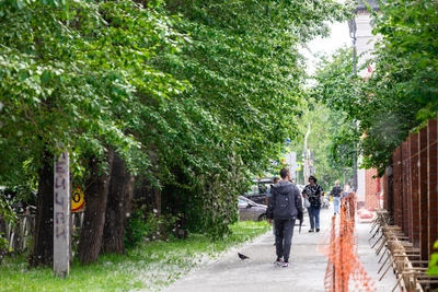 Екатеринбург накрыло тополиным пухом