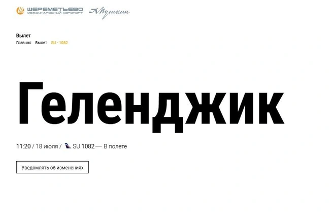 Источник: svo.aero