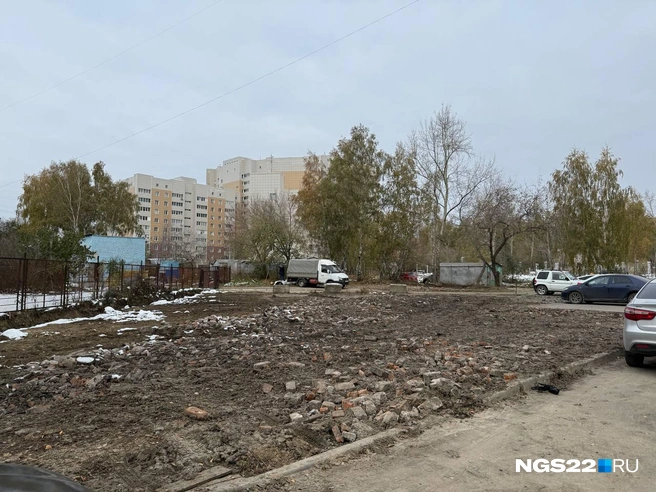 Источник: Полина Шевчукова / NGS22.RU