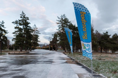 В Волгограде к пятнице ожидаются снег и похолодание